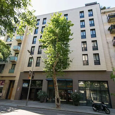 Hotel Petit Palace Trencadis
